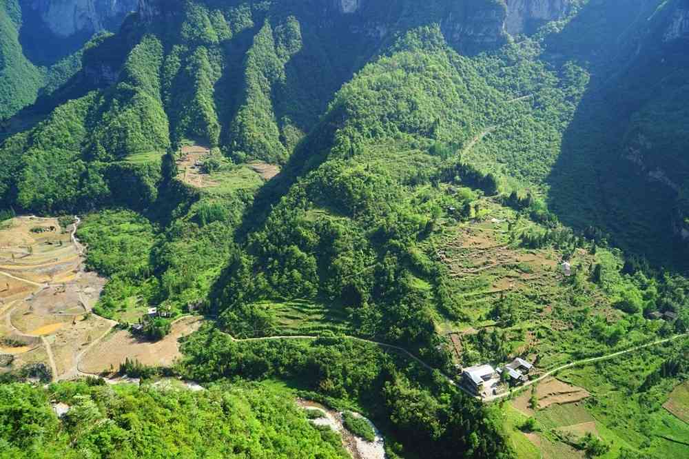 追寻的世外桃源——鹿院坪,揭秘大山深处的美