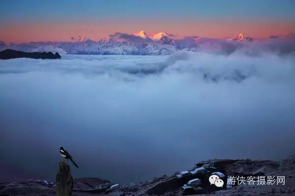 上帝为什么造四川（甘孜国际摄影大赛获奖作品选）