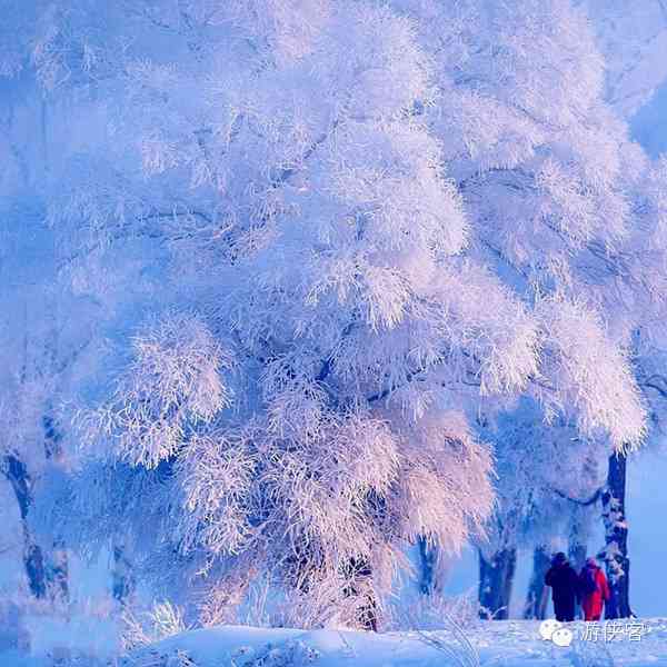 雪乡·雪谷·雪村·雪岭，东北雪景哪里最美？