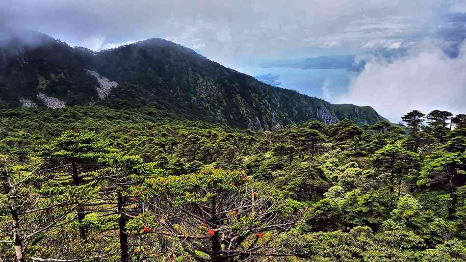 大理古城必去景点,去大理旅游可以逛哪里