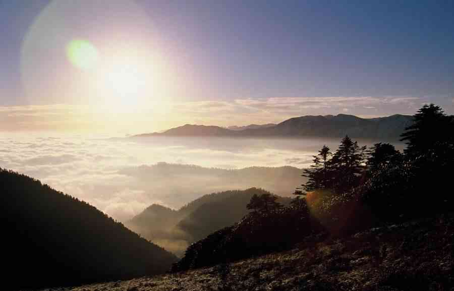 四川雅安十大景点:杜鹃山介绍