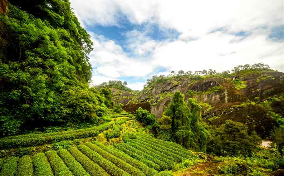 神话武夷山，岩茶的故乡