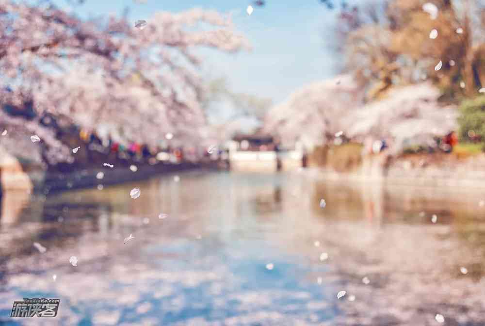 南京清明节旅游去哪里玩比较好