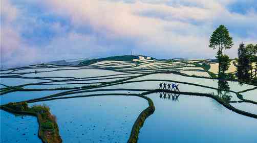 元阳梯田最佳旅游季节,元阳梯田自驾攻略