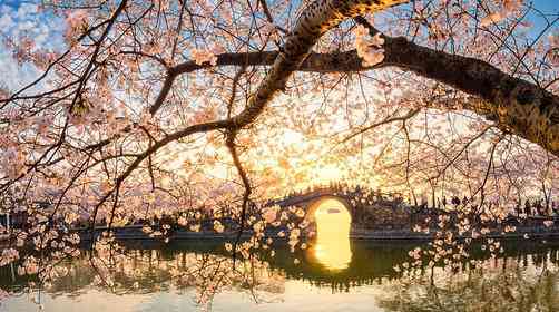 太湖一日游,太湖鼋头渚旅游攻略
