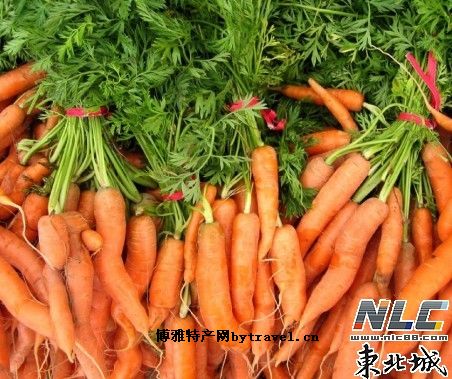 平安堡胡萝卜