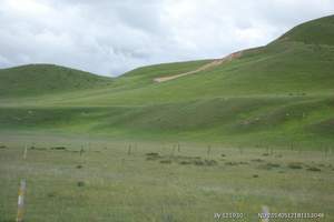 成陵草原三日游（银川出发到内蒙周边旅游）体验大草原风光