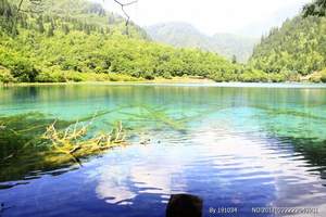 11月份去九寨沟旅游降价了/九寨沟看红叶/九寨沟黄龙三日游