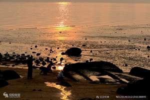 厦门鼓浪屿、武夷山三卧10日_厦门鼓浪屿夕阳红_厦门老年旅游