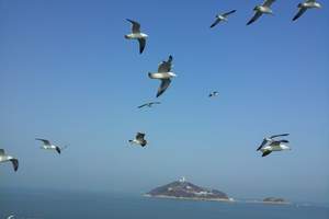 邯郸到威海、蓬莱二日纯玩游
