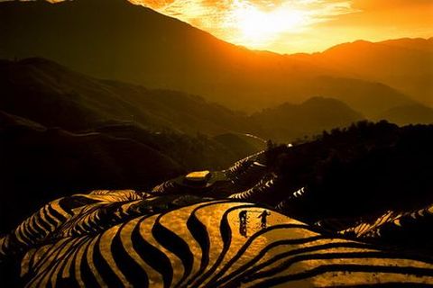 <桂林-龙脊梯田-古壮寨平安寨2日游>住龙脊特色吊脚楼（当地游）