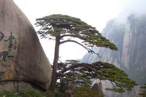 厦门到黄山/黄山+屯溪老街双飞三日游