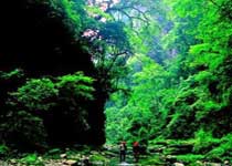 青龙山熊河风景区